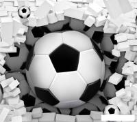 Фотообои ФабрикаФресок Футбольные мячи из стены 723270 (300x270)