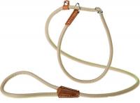 Ошейник с поводком Ferplast Derby GC10/160 75383503 (фиолетовый)