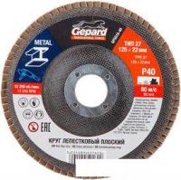 Шлифовальный круг Gepard GP5016-120