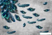 Фотообои ФабрикаФресок Стильные перья павлина 784270 (400x270)