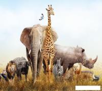Фотообои ФабрикаФресок Африканские звери 483270 (300x270)