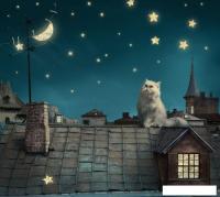 Фотообои ФабрикаФресок Кот на крыше 473270 (300x270)