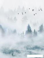 Фотообои ФабрикаФресок Светлый туманный лес 012265 (200x265)