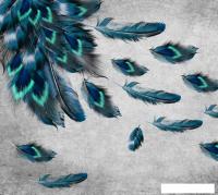 Фотообои ФабрикаФресок Стильные перья павлина 783270 (300x270)