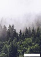 Фотообои ФабрикаФресок Туманный лес 192280 (200x280)