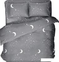 Постельное белье Samsara Звездное небо на сером фоне 220-3 215x220 (евро)
