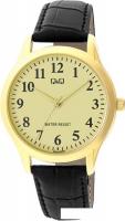 Наручные часы Q&Q Standard C02AJ009