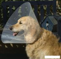 Защитный воротник Beeztees 796002 (28-33/12.5 см)