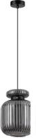 Подвесная люстра Odeon Light Jugi 5042/1B