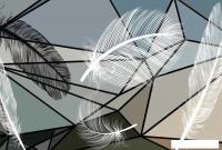 Фотообои Vimala Перья 16 270x400