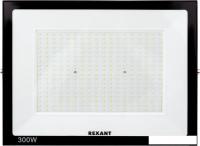 Уличный прожектор Rexant 605-030