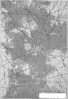 Ковер для жилой комнаты Bossan Rome 5720A-GRI-AGRI 160x300