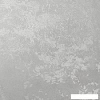 Виниловые обои Vimala Бриз 10980