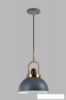 Подвесная люстра Moderli Ravenna V10446-1P