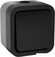 Выключатель IEK Tors TS-V14-0-10-55-K53