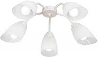 Припотолочная люстра Vitaluce V31950/5PL