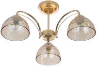 Люстра средней высоты Rivoli Terri 9172-303 Б0060988