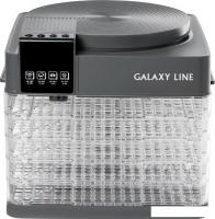 Сушилка для овощей и фруктов Galaxy Line GL2630 (серый)