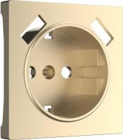 Накладка для розетки Werkel W1179511 a050854