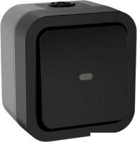 Выключатель IEK Tors TS-V10-1-10-55-K53