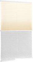 Плиссе Delfa Basic Uni СПШ-3100/3504 Basic Transparent (62x160, кремовый/белый)