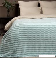 Плед Tex Republic Absolute Зигзаг двухцветный Flannel 200x220 92577 (бирюзовый)