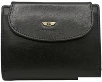 Кошелек Peterson PTN 405-BO-8052 (черный)