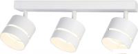 Спот Ambrella light Techno TN71062