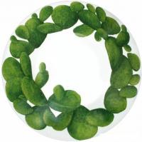 Тарелка глубокая Taitu Cactus 5-5-5