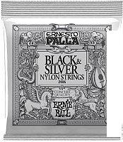 Струны для гитары Ernie Ball 2406 Palla Nylon Clear Silver