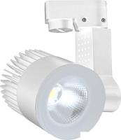 Трековый светильник Escada 20030TRA/02LED (белый матовый)