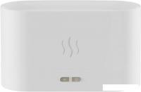 Аромадиффузор Sundays Home TBD0601842501A