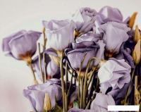 Картина Stamprint Розы АT014 (80x100)