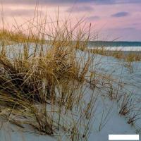 Картина Stamprint Гавань 2 SN005 (35x35)