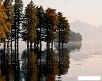 Картина Stamprint Деревья в воде АT039 (80x100)