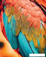 Картина Stamprint Перья попугая AM005 (100x80)