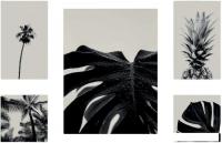 Картина Stamprint Черно-белое CS003 SET5 (90x140)