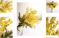 Картина Stamprint Желтая осень CS001 SET5 (90x140)