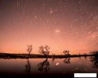 Картина Stamprint Круговорот звезд NR007 (80x100)