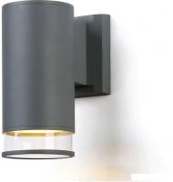 Уличный настенный светильник Ambrella light Garden ST3818