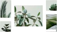 Картина Stamprint Зеленное растение CS002 SET5 (90x160)
