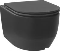 Унитаз подвесной Wellsee Croquis RimFree 182613001 (чаша, пневмокрышка, матовый черный)