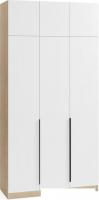Шкаф распашной Soma Lord Black 3-х створчатый 120x240 (дуб сонома/белый)