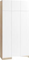 Шкаф распашной Soma Lord Lite 3-х створчатый 120x240 (дуб сонома/белый)
