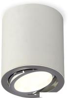 Припотолочная люстра Ambrella light Techno spot XS7423021 SGR/PSL