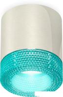 Припотолочная люстра Ambrella light Techno spot XS7405005 PSL/BL