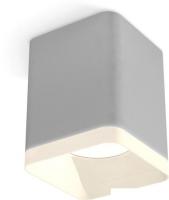 Припотолочная люстра Ambrella light Techno spot XS7814010 SGR/FR