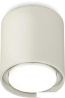 Припотолочная люстра Ambrella light Techno spot XS7724001 SGR/SWH