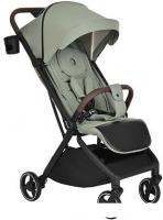 Коляска прогулочная «книга» Pituso Matrix (emerald mood)
