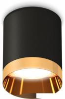 Припотолочная люстра Ambrella light Techno XS6302024 SBK/PYG